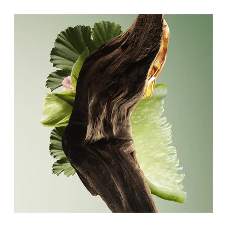 Prada Paradigme Eau de Parfum